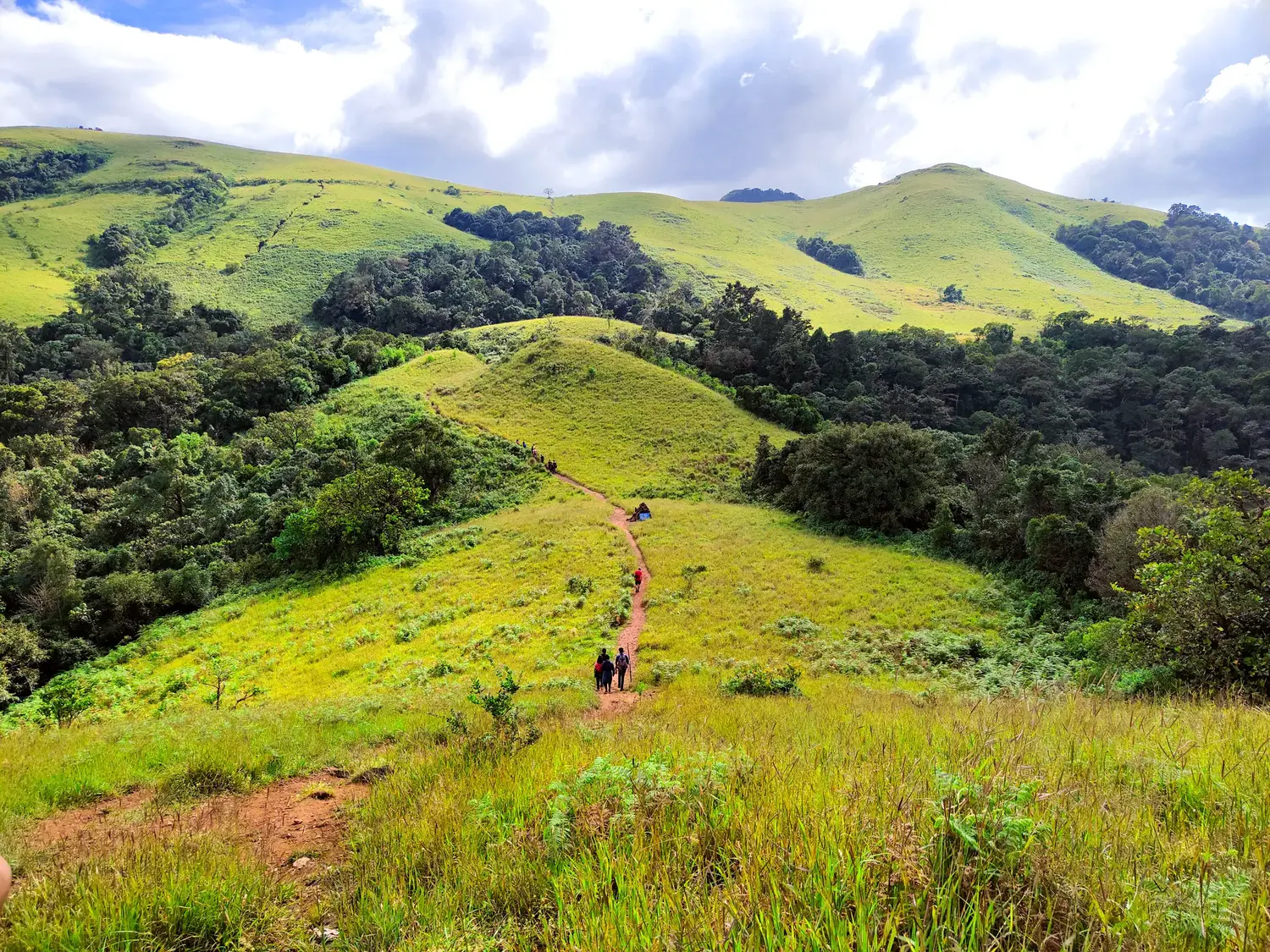 Kodachadri Peak Trek