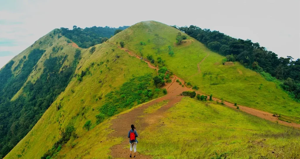 kodachadri trek